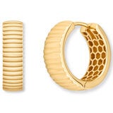 14ct Yellow Gold Line Hoop Earrings