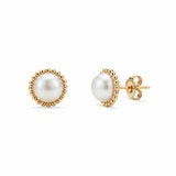 6.5-7mm Cultured Freshwater White Pearl Earrings 14ct Yellow Gold