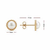 6.5-7mm Cultured Freshwater White Pearl Earrings 14ct Yellow Gold