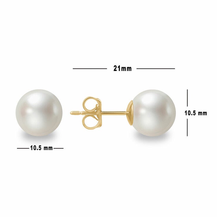 10.5-11mm Cultured Freshwater White Pearl Earrings 14ct Yellow Gold