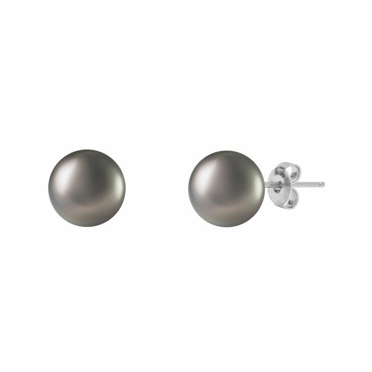 10-10.5mm Tahitian Pearl Earrings 14ct White Gold