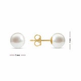 7-7.5mm Cultured Freshwater White Pearl Earrings 14ct Yellow Gold