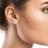 7-7.5mm Cultured Freshwater White Pearl Earrings 14ct Yellow Gold