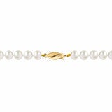 7-7.5mm Cultured Freshwater White Pearl Necklace 14ct Yellow Gold
