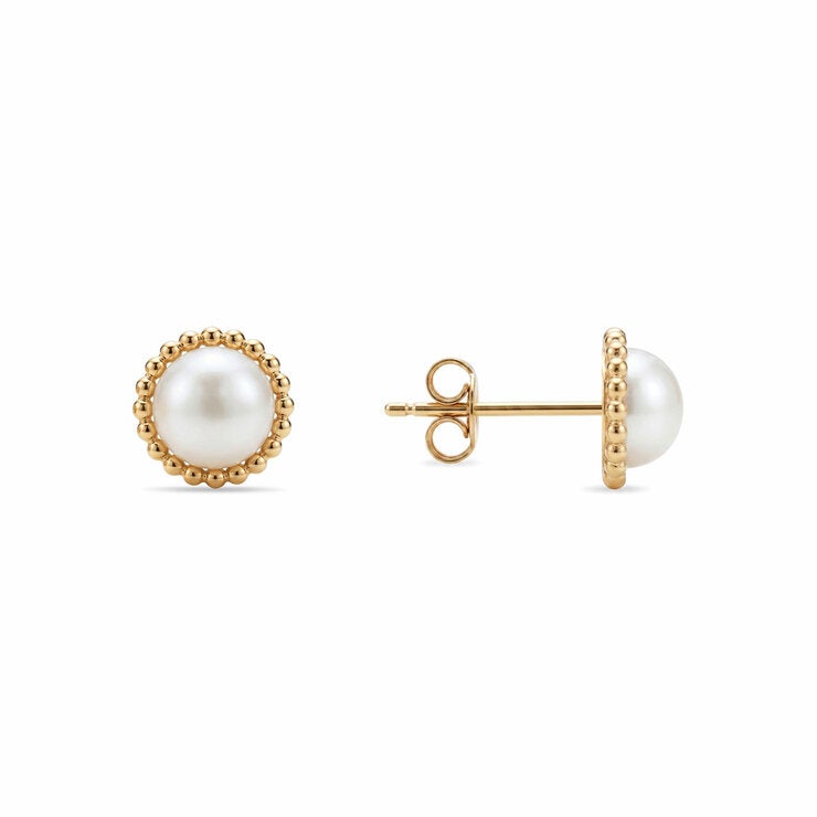 6.5-7mm Cultured Freshwater White Pearl Earrings 14ct Yellow Gold
