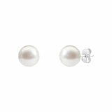 8.5-9mm Akoya White Pearl Earrings 14ct White Gold