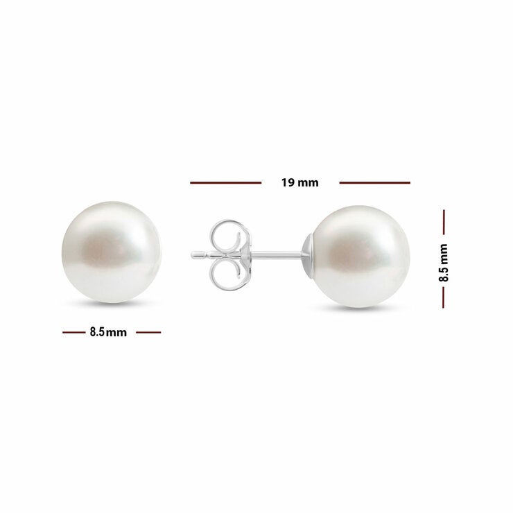 8.5-9mm Akoya White Pearl Earrings 14ct White Gold