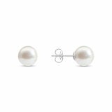 8.5-9mm Akoya White Pearl Earrings 14ct White Gold