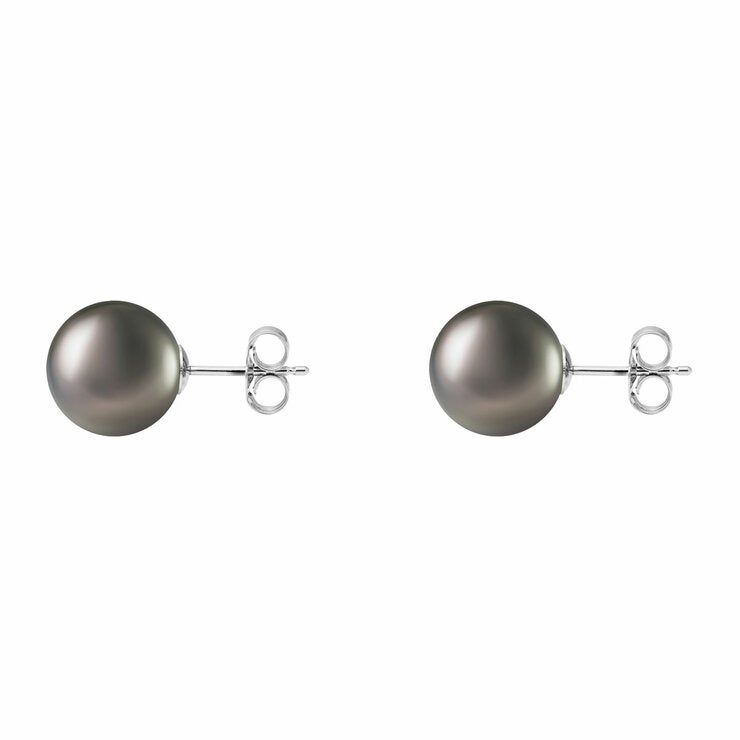 10-10.5mm Tahitian Pearl Earrings 14ct White Gold