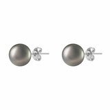 10-10.5mm Tahitian Pearl Earrings 14ct White Gold